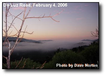 Canyon Fog Canyon Fog