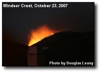 Rosa Fire Rosa Fire