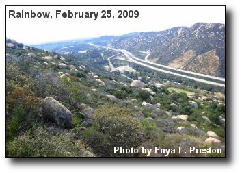 Valley Freeway Valley Freeway