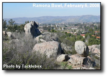 Bowl View Bowl View