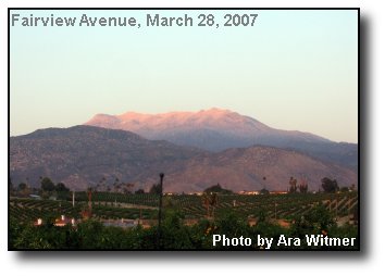 Evening Snowcap Evening Snowcap
