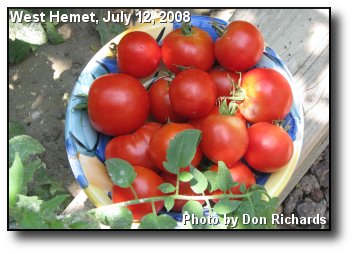 Home Grown Home Grown