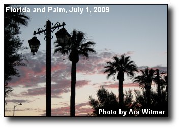 Palms at Dawn Palms at Dawn