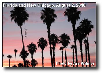 Summer Palms Summer Palms