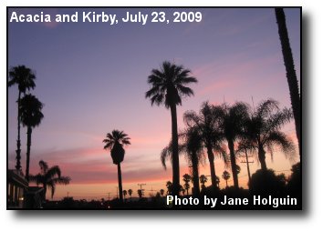 Sunset Palms Sunset Palms