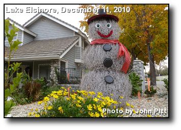 Tumbleweed Snowman Tumbleweed Snowman