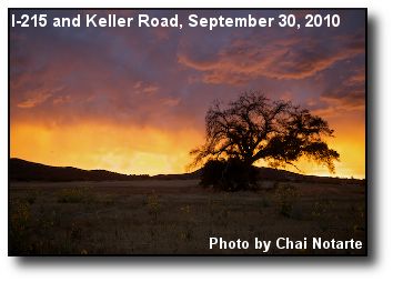 Lone Tree Lone Tree
