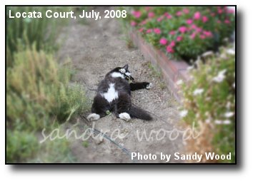 Garden Nap Garden Nap