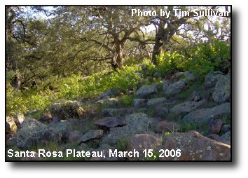 Granite Slope Granite Slope