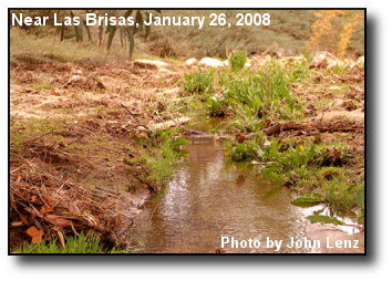 Running Stream Running Stream