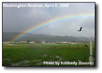 Spring Rainbow Spring Rainbow