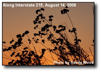 Sunrise Silhouette Sunrise Silhouette