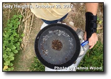 Rain Gauge Clog Rain Gauge Clog