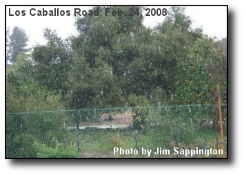 Big, Wet Snow Flakes Big, Wet Snow Flakes