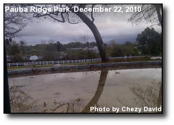 Flooded Park Flooded Park