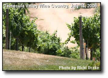 Fruitful Vineyard Fruitful Vineyard