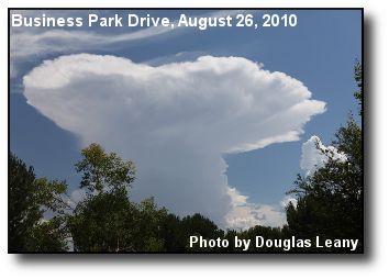 Mushroom Cloud Mushroom Cloud
