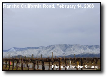 Palomar Range Palomar Range