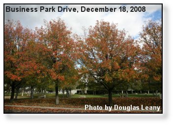 Seasonal Color Seasonal Color