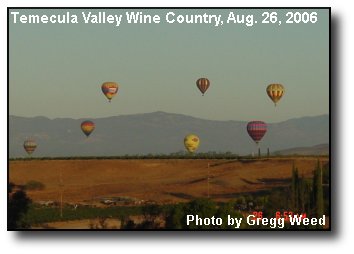 Summer Balloons Summer Balloons