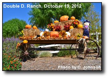 Fall Decor Fall Decor