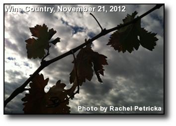 Grapevines Grapevines