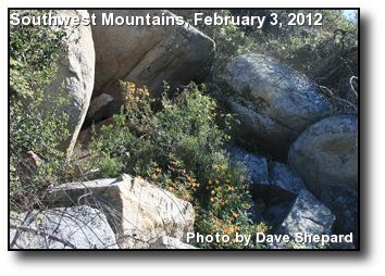 Rugged Wildflowers Rugged Wildflowers