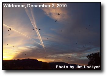 Crows and Contrails Crows and Contrails